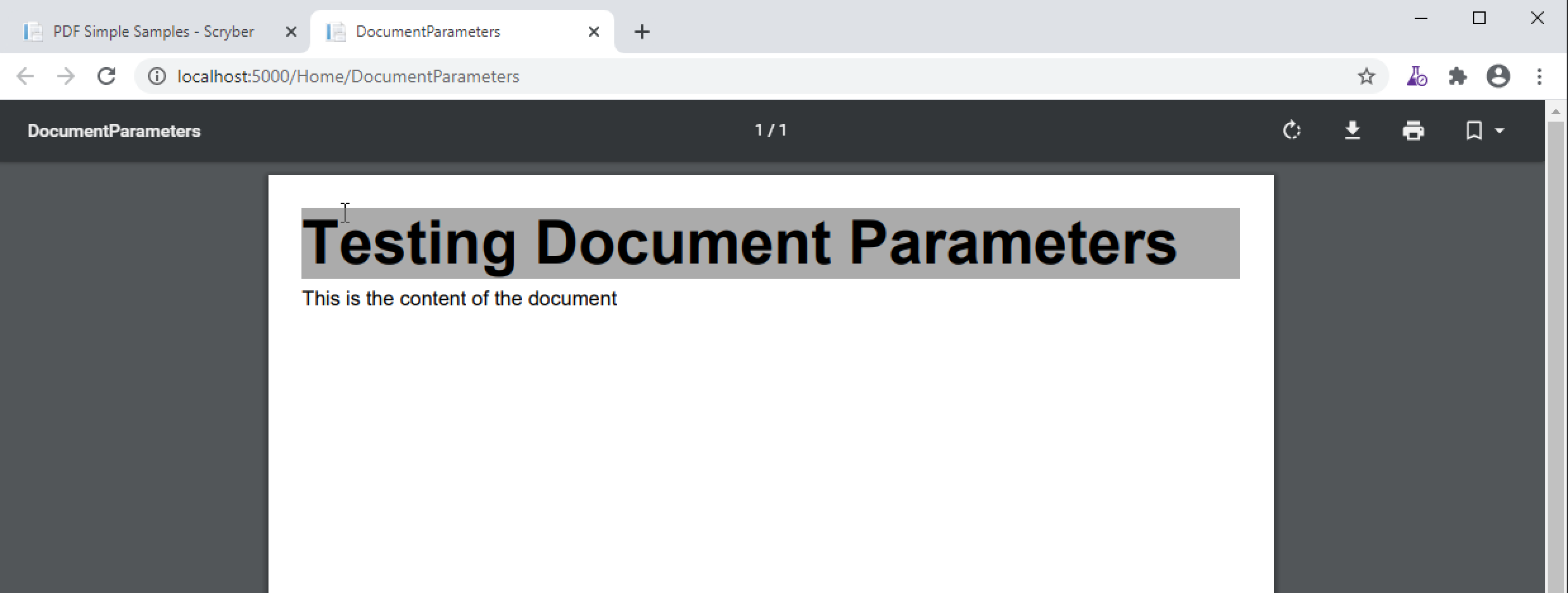 _images/documentparameters.png